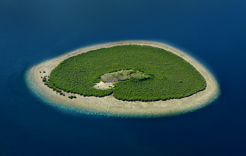 Mangrove Island
