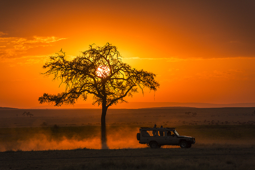 Sunrise Safari