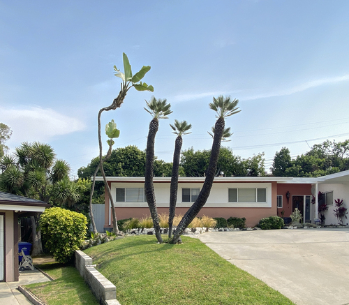 Ladera Heights