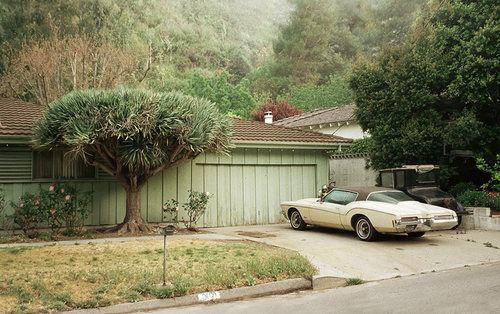 Mandeville Cyn, Brentwood. CA 2001