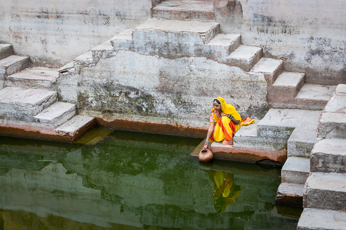Yellow Sari