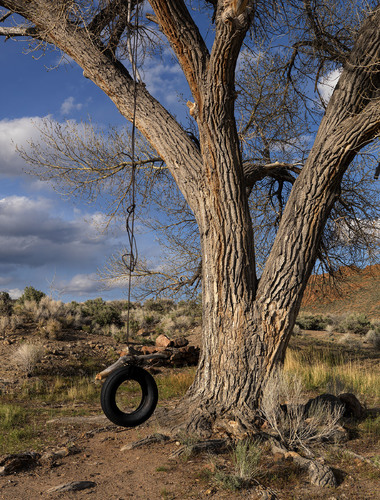 tire swing