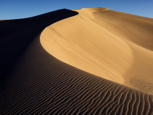 Dune at sunrise