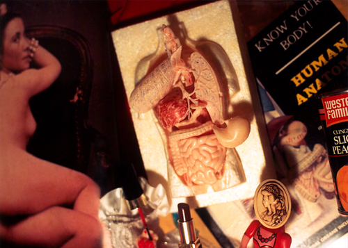 Objects Under Glass: Know your Body