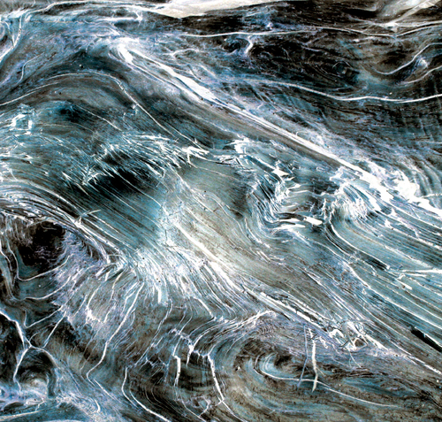 Drift WoodScapes: Aeriel View