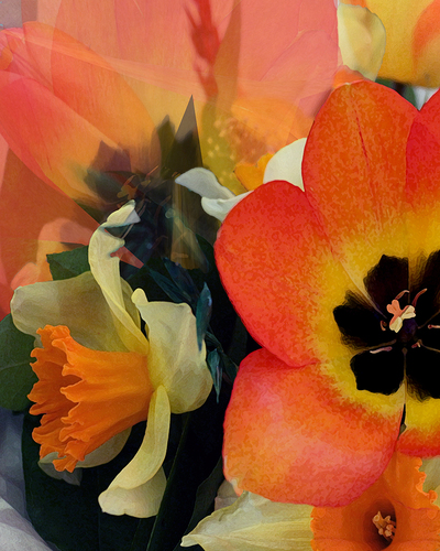 Color Me Floral