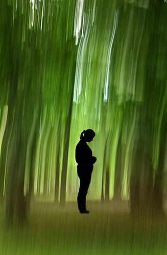 Girl in Wood