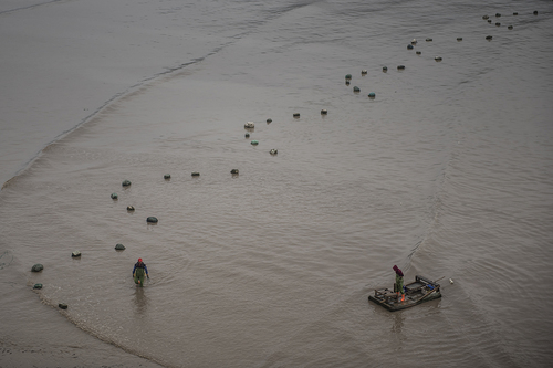 Fisherrmen