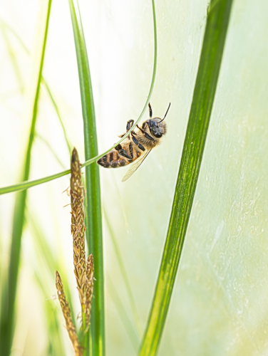 Hanging On