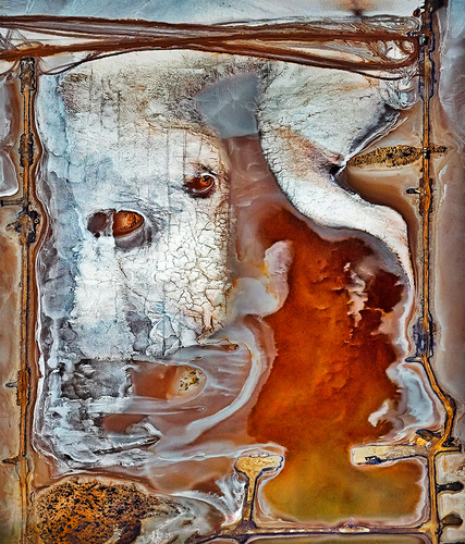 The Face on Lake Lefroy