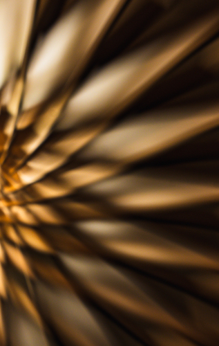 Spiked