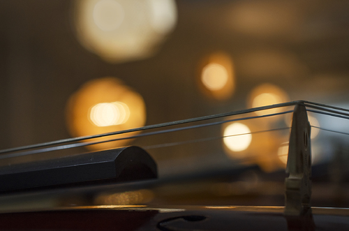 Night Symphony