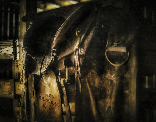Saddle Up