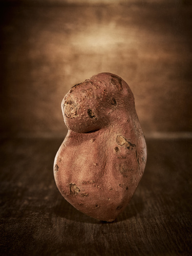 Sweet Potato Portrait