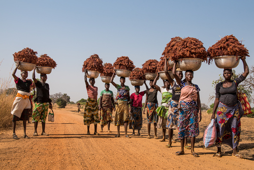 Sorgo Women