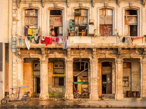 Cuba Pigeon Boy
