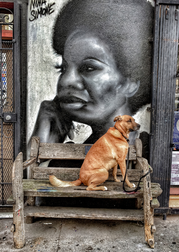 A portrait of Nina