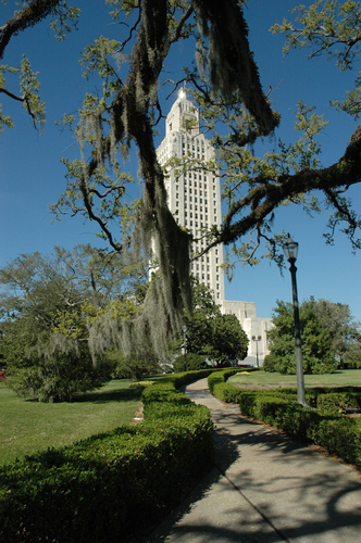 Louisiana Mystique