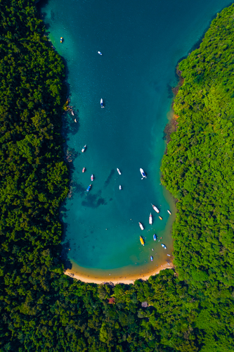 Baia da Tartaruga