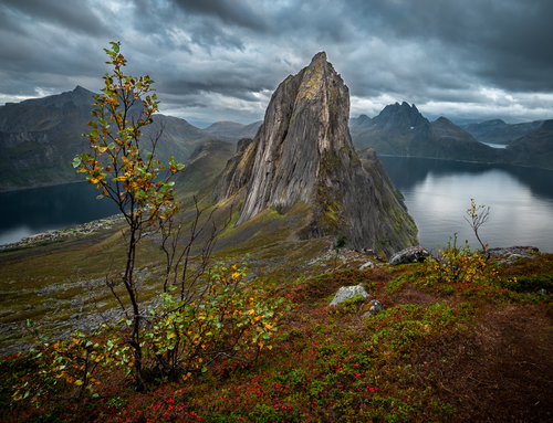 Fjord Garden