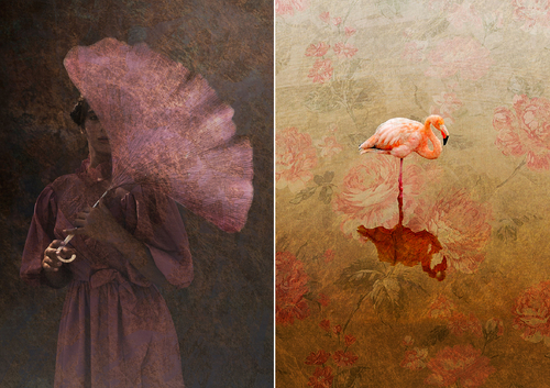 Metamorphoses