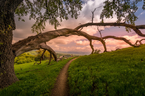 The Fallen Doorway