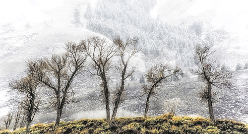 Gros Ventre Road