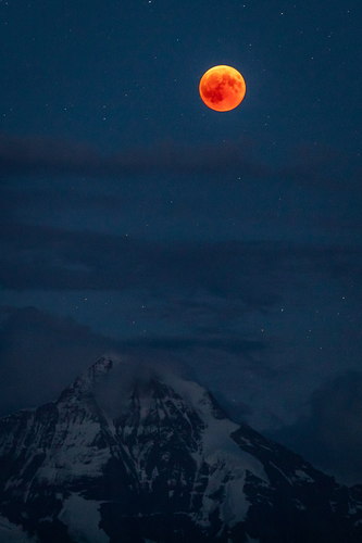 bloodmoon