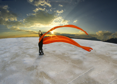 Flying High Fashion 
