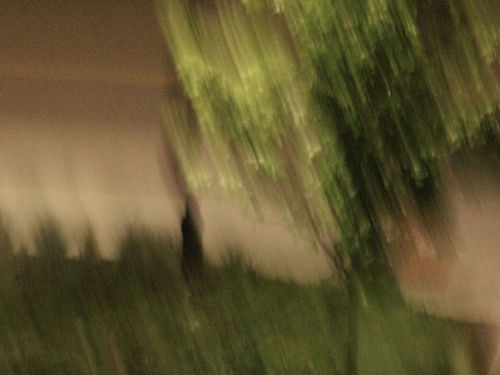 Into the Night