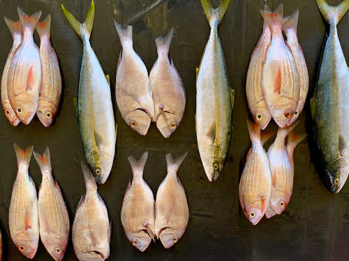 Catch of the day