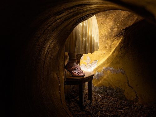 Up the Rabbit Hole