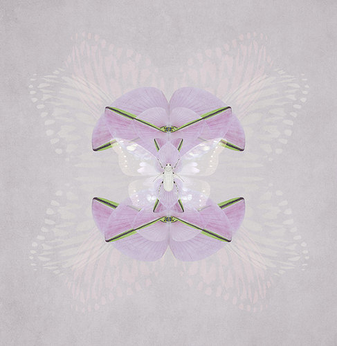 Imprinted
