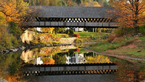 Reflections of Fall