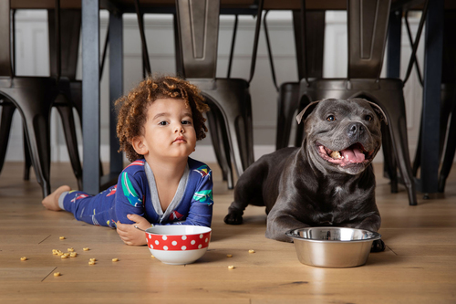 The Breakfast Gang