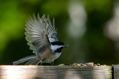 The Second Before Liftoff