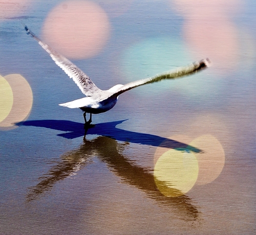 Liftoff