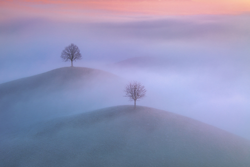 the fog of illusion