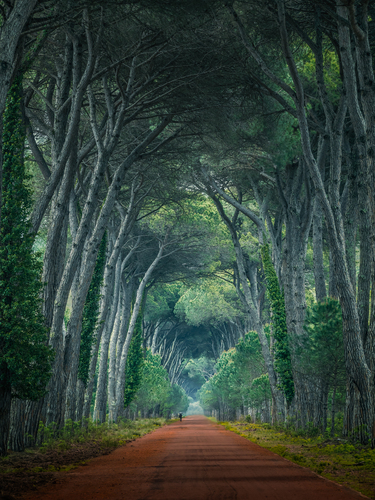 Nature's heart