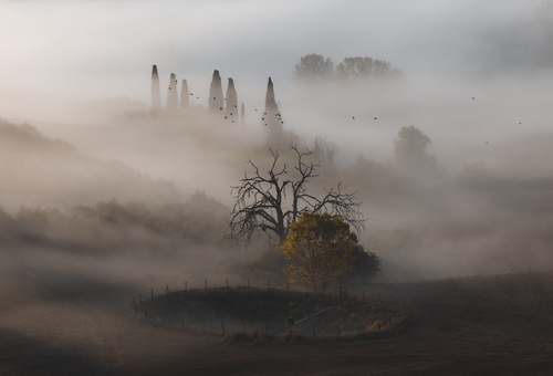 Whispers of mist in the Val d'Orcia