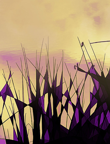 In the Weeds