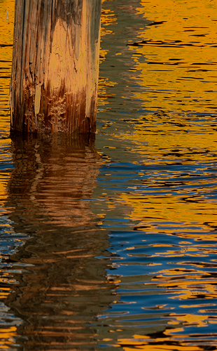 Yellow Reflections