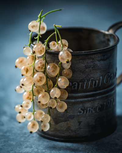 White currants and the mug