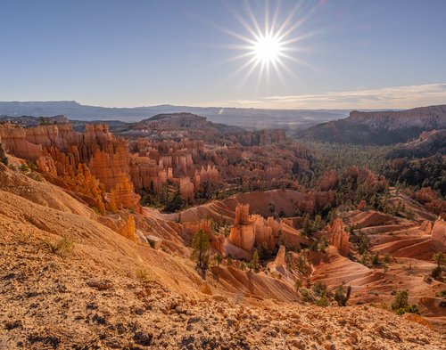 Good Morning Bryce Canyon