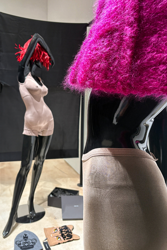 The Undressing Room
