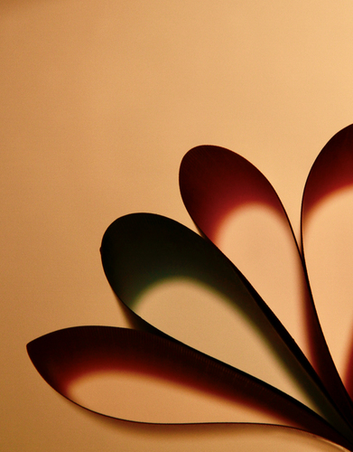 From Paper to Petals