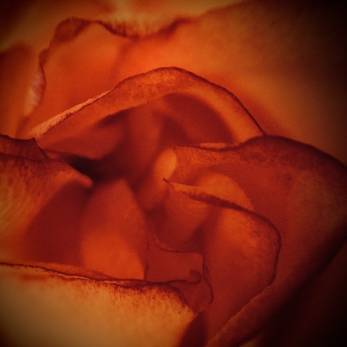 Soft and tender