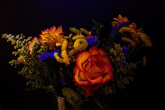 Color Awards Winners and Nominees