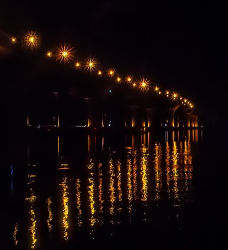 Shimmering Lights