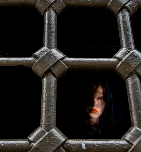 Lady in the Dungeon